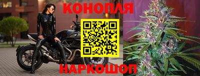 соль ск Аргун